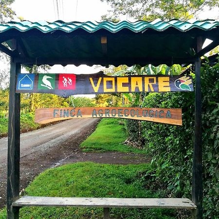 Vocare Finca Agroecologica Upala Dış mekan fotoğraf