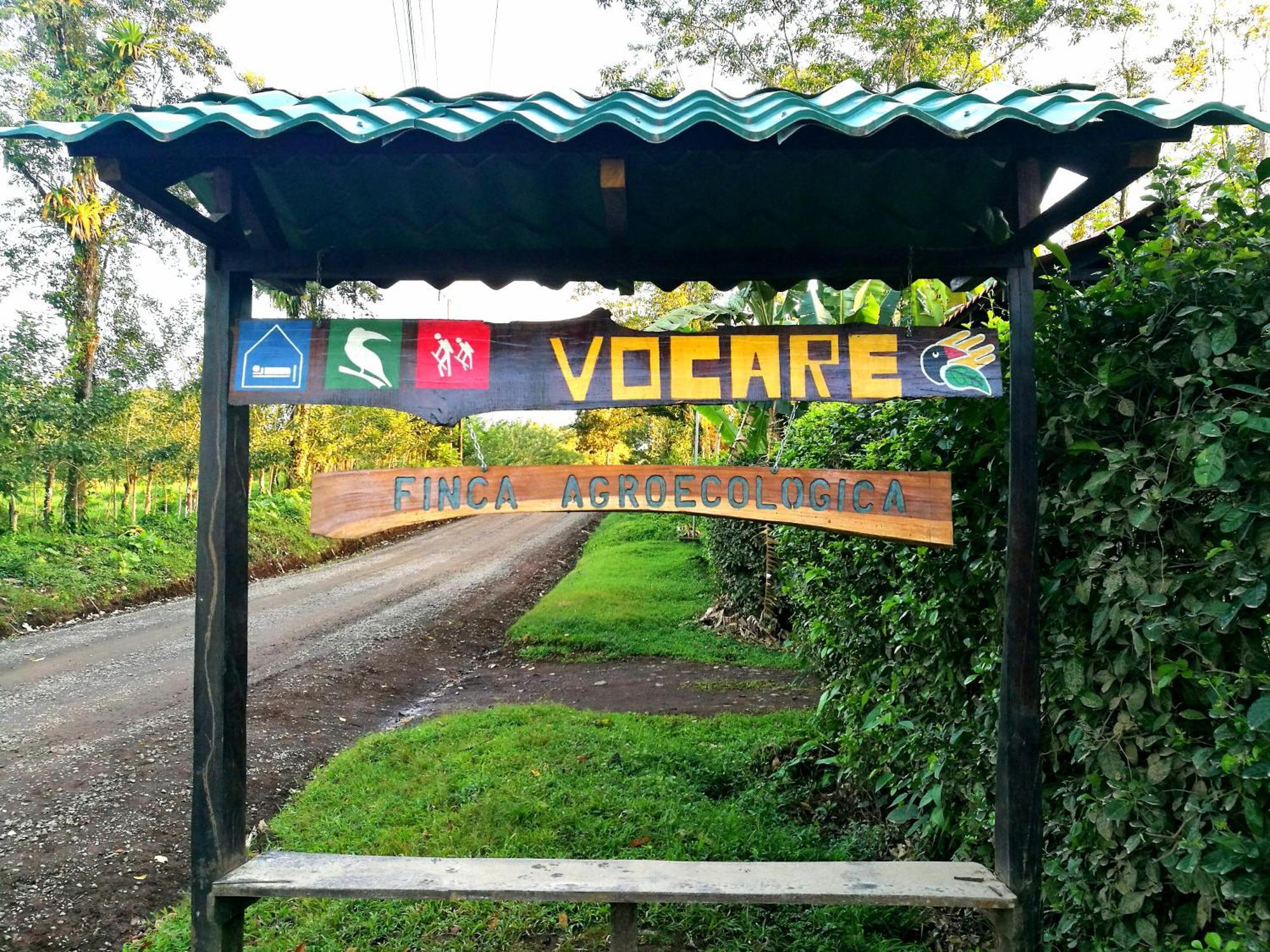 Vocare Finca Agroecologica Upala Dış mekan fotoğraf