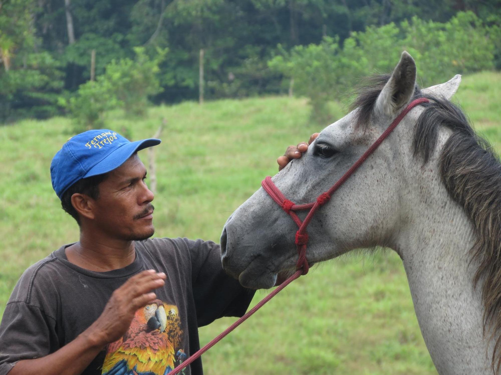 Vocare Finca Agroecologica Upala Dış mekan fotoğraf