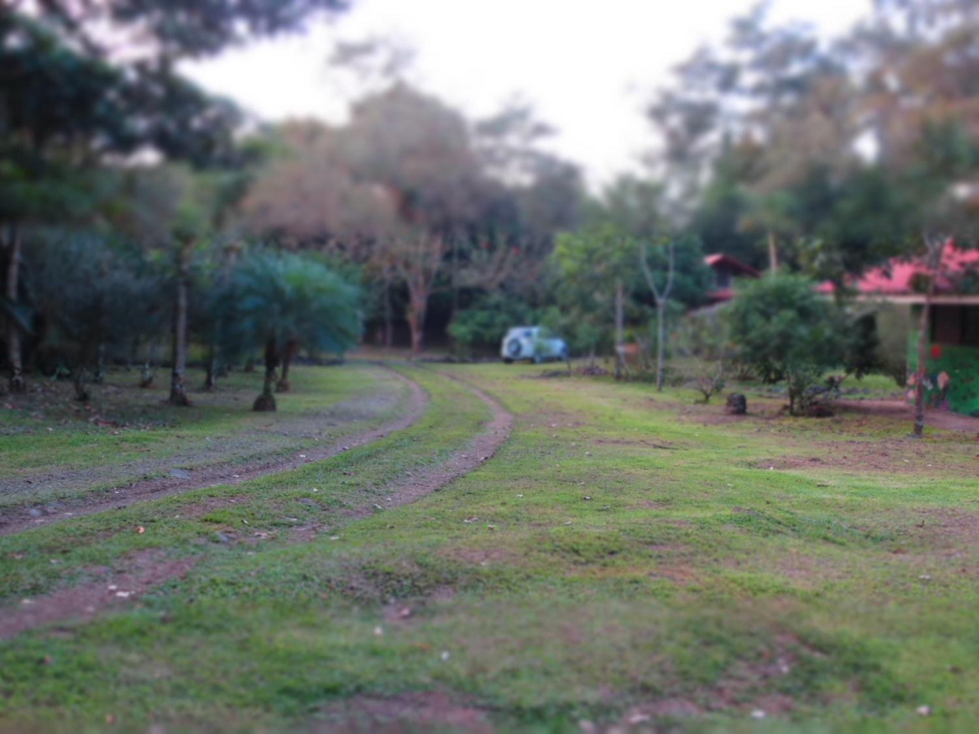 Vocare Finca Agroecologica Upala Dış mekan fotoğraf