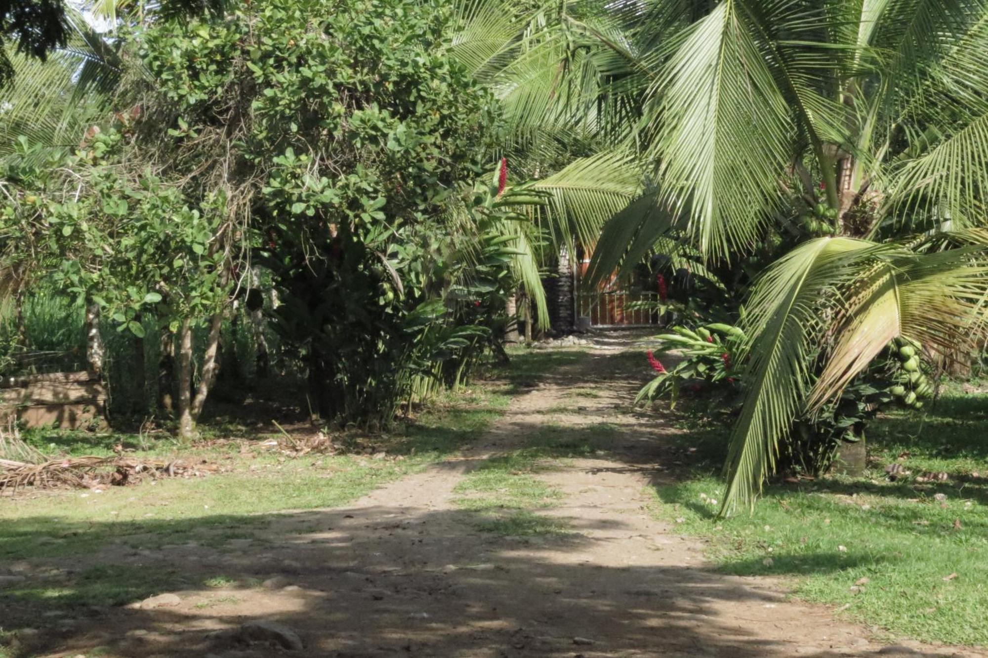 Vocare Finca Agroecologica Upala Dış mekan fotoğraf